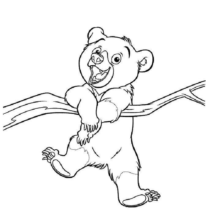 coloriage freres des ours kenai sur une branche